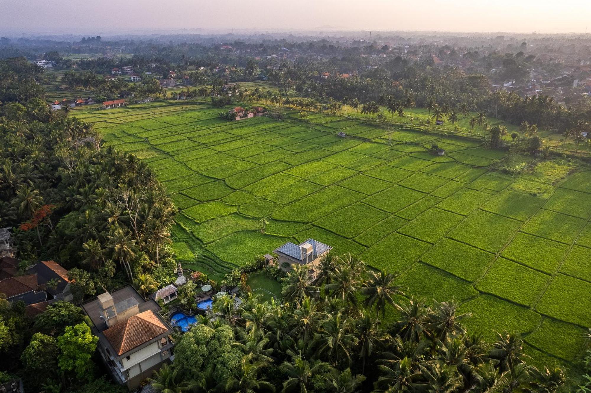 Gynandha Ubud Cottage Exteriér fotografie