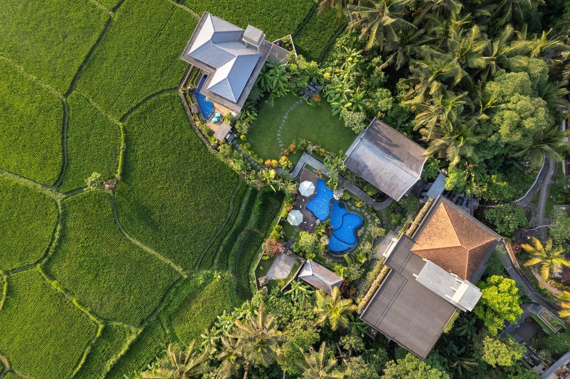 Gynandha Ubud Cottage Exteriér fotografie