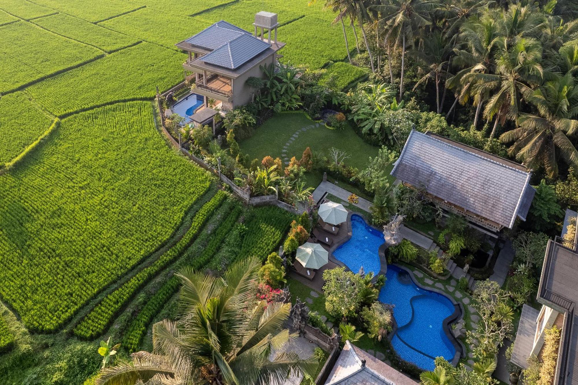 Gynandha Ubud Cottage Exteriér fotografie